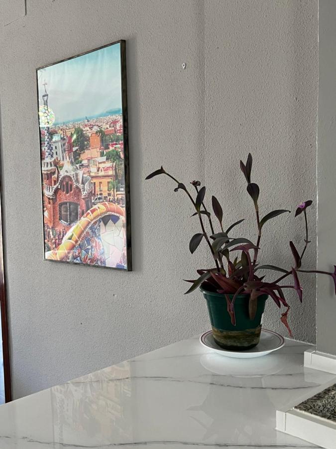 Huerto Apartment 卢塞纳 外观 照片